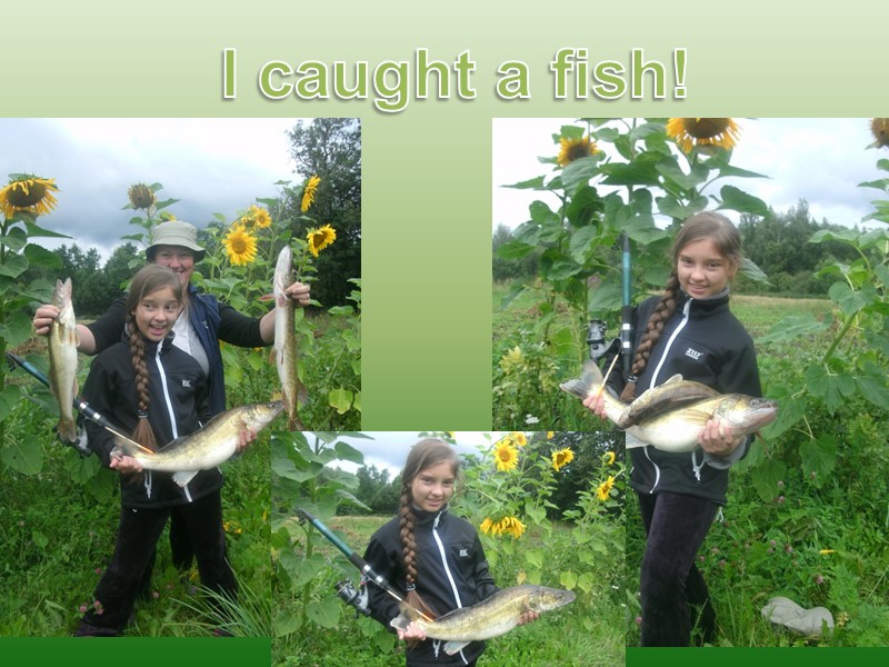 I caught a fish!